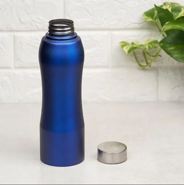 Stainless Steel Fridge Water Bottle, 810 ML