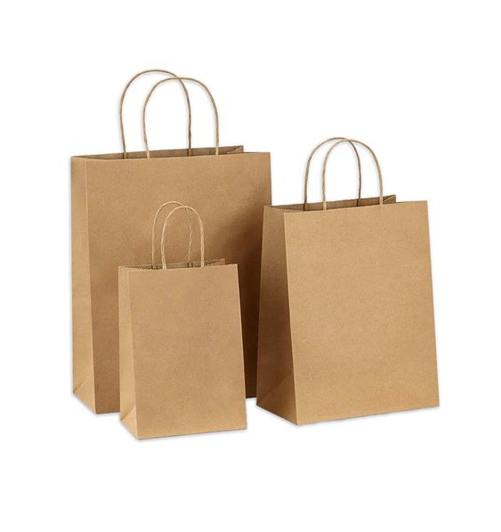Earth Bound Brown Kraft Paper Bags with Twisted Handle 11